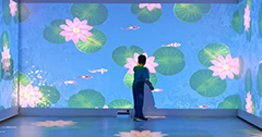 “體感互動(dòng)”與“雷達(dá)互動(dòng)”的區(qū)別